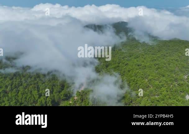 Watch the stunning view of cloudy mountain peaks, green forests, and ...