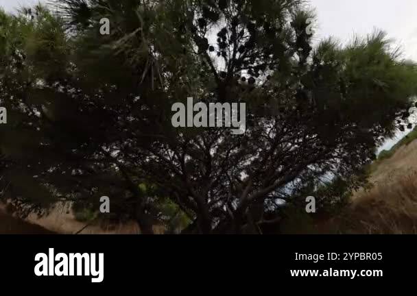 Panorama effect Stock Videos & Footage - HD and 4K Video Clips - Alamy