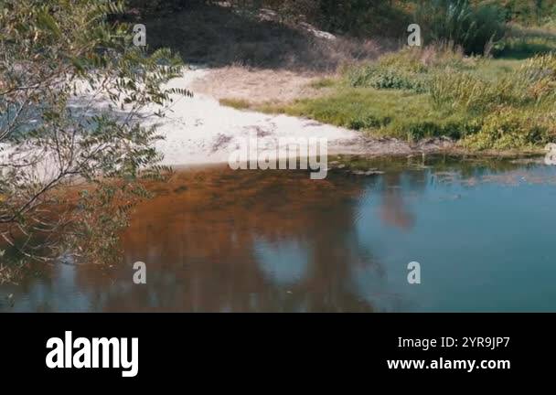 A small river with a sandy bank and vegetation, affected by algae ...