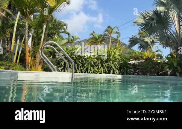 A small private swimming pool in the backyard of a luxury villa in ...
