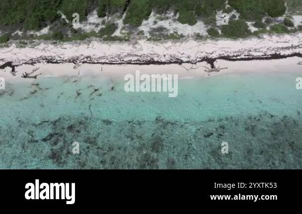 Top View Of Catalina Beach And Crystal Clear Sea And Beautiful Sandy Beach Amazing Caribbean Sea