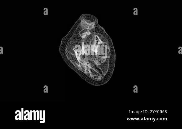 Animation of a healthy beating human heart Stock Video Footage - Alamy