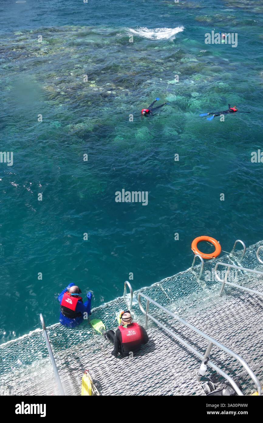 Tourists snorkelling on bleaching corals, Great Barrier Reef, near Cairns, Queensland, Australia. No PR or MR Stock Photo
