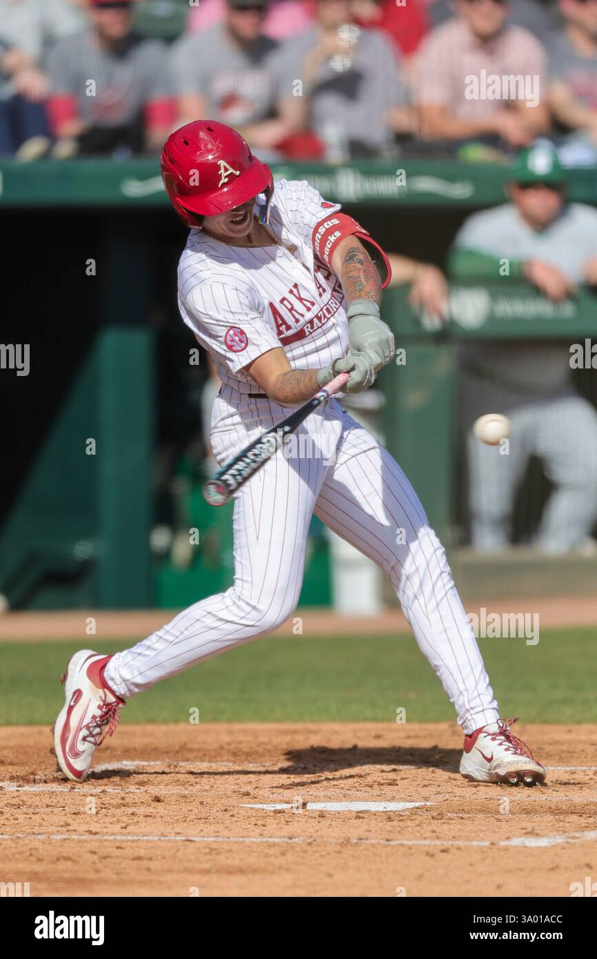 March 1, 2025: Razorback designated hitter Kuhio Aloy (25) looks to put ...