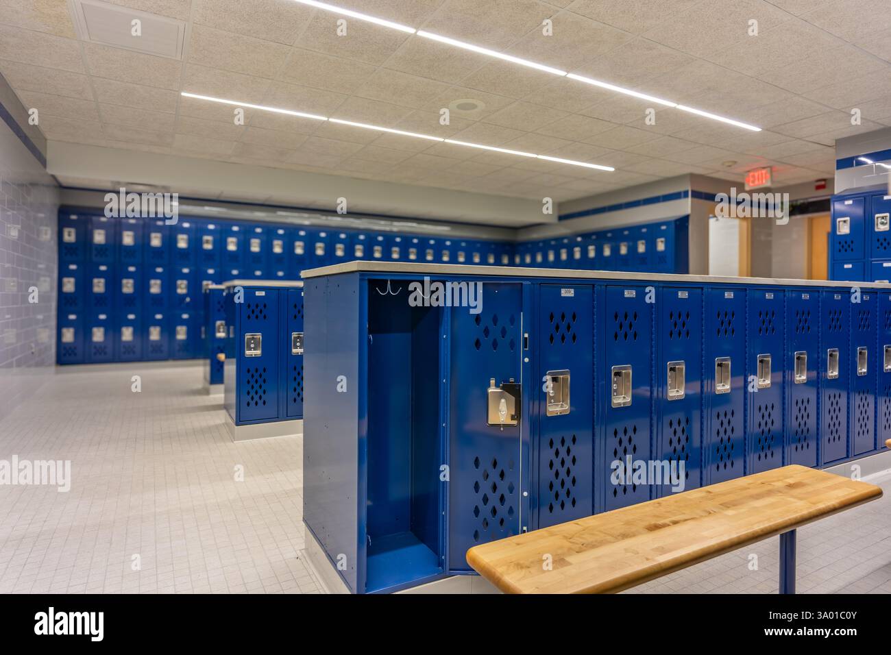 Empty team locker room, changing room, with an open locker, with traditional blue metal lockers. Stock Photo