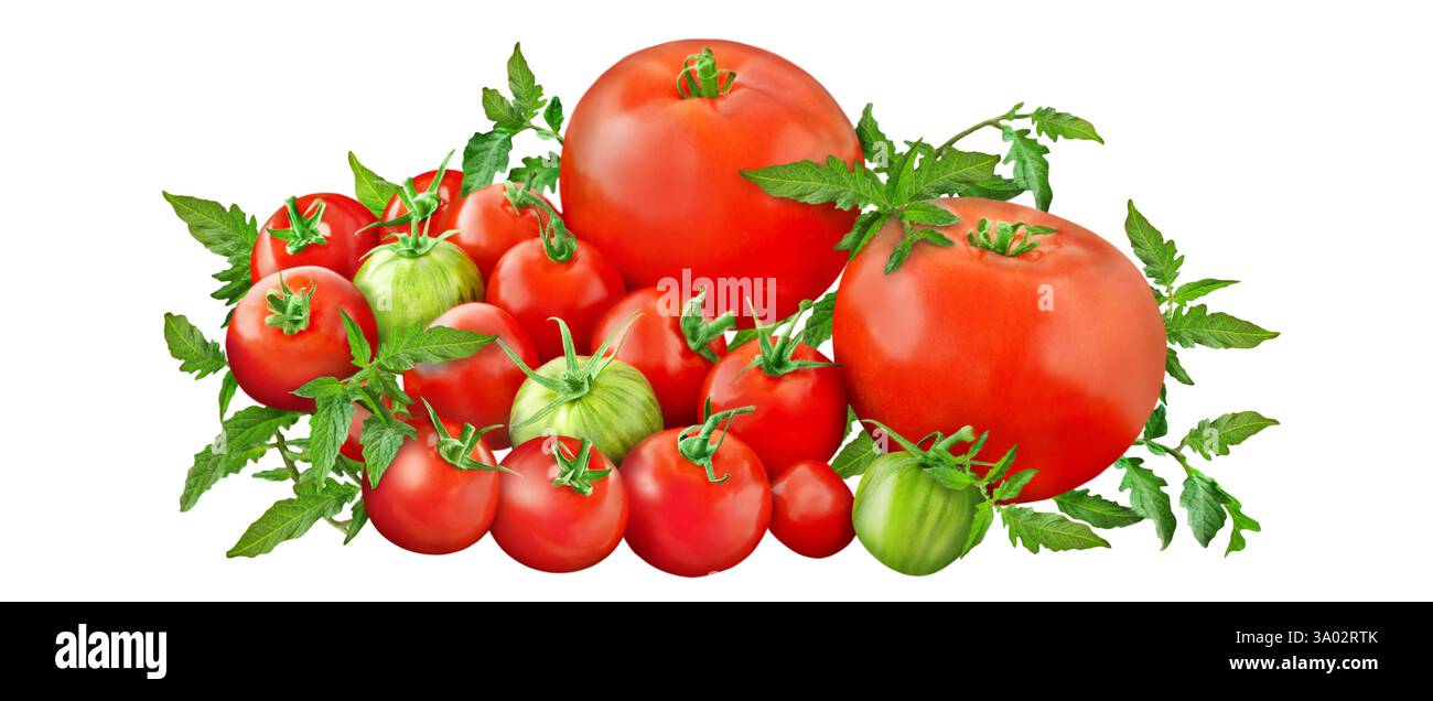 Red and green tomatoes isolated on white background Stock Photo
