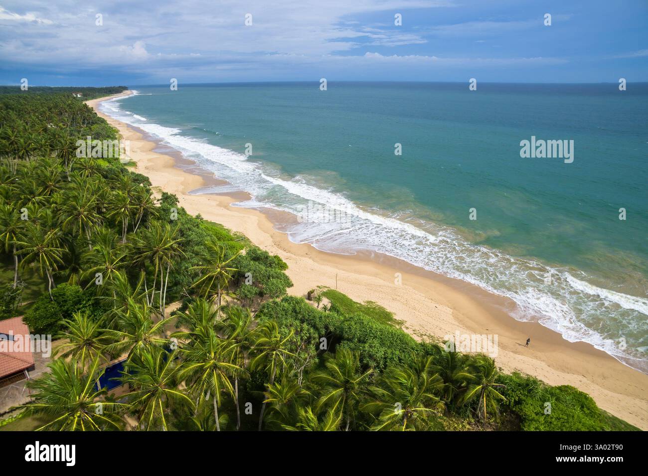 Aerial view of tropical beach with palm trees and ocean waves under ...