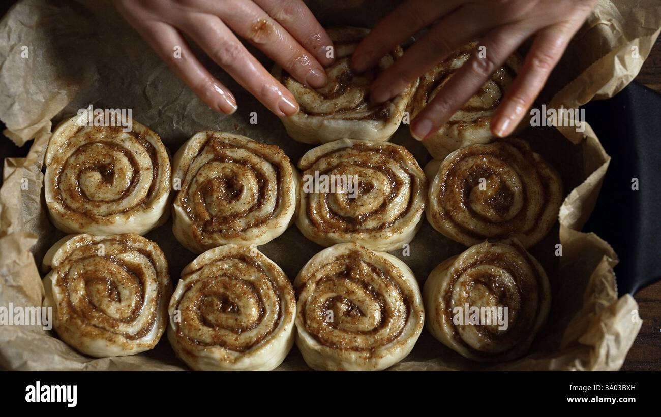Placing cinnamon rolls in the baking pan. Stock Photo