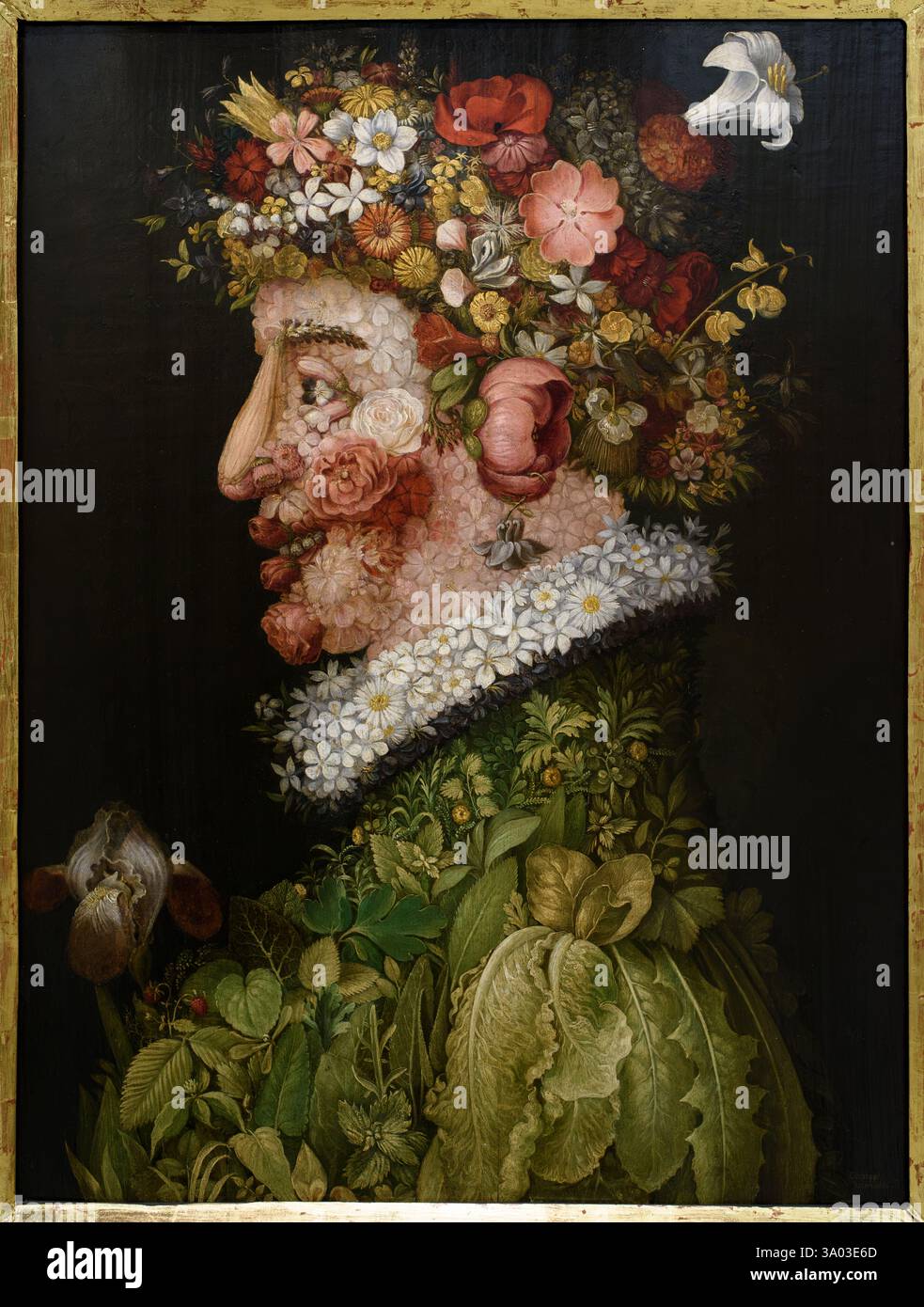 Arcimboldo: 1526-1593 画集 ジュゼッペ・アルチンボルド Giuseppe