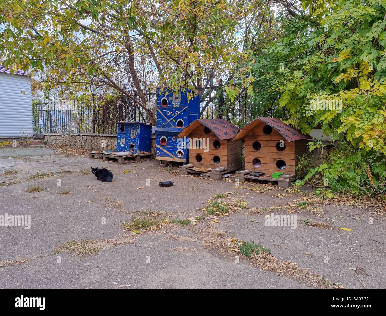 Public cat houses, providing shelter to outdoor cats, stray cats, homeless cats, in a park; housing for homeless cats - Smartphone Captured Stock Image