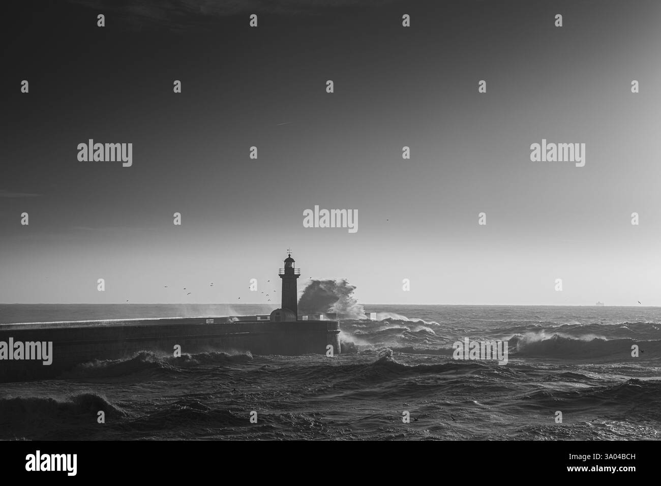 Sea landscape huge waves Black and White Stock Photos & Images Alamy