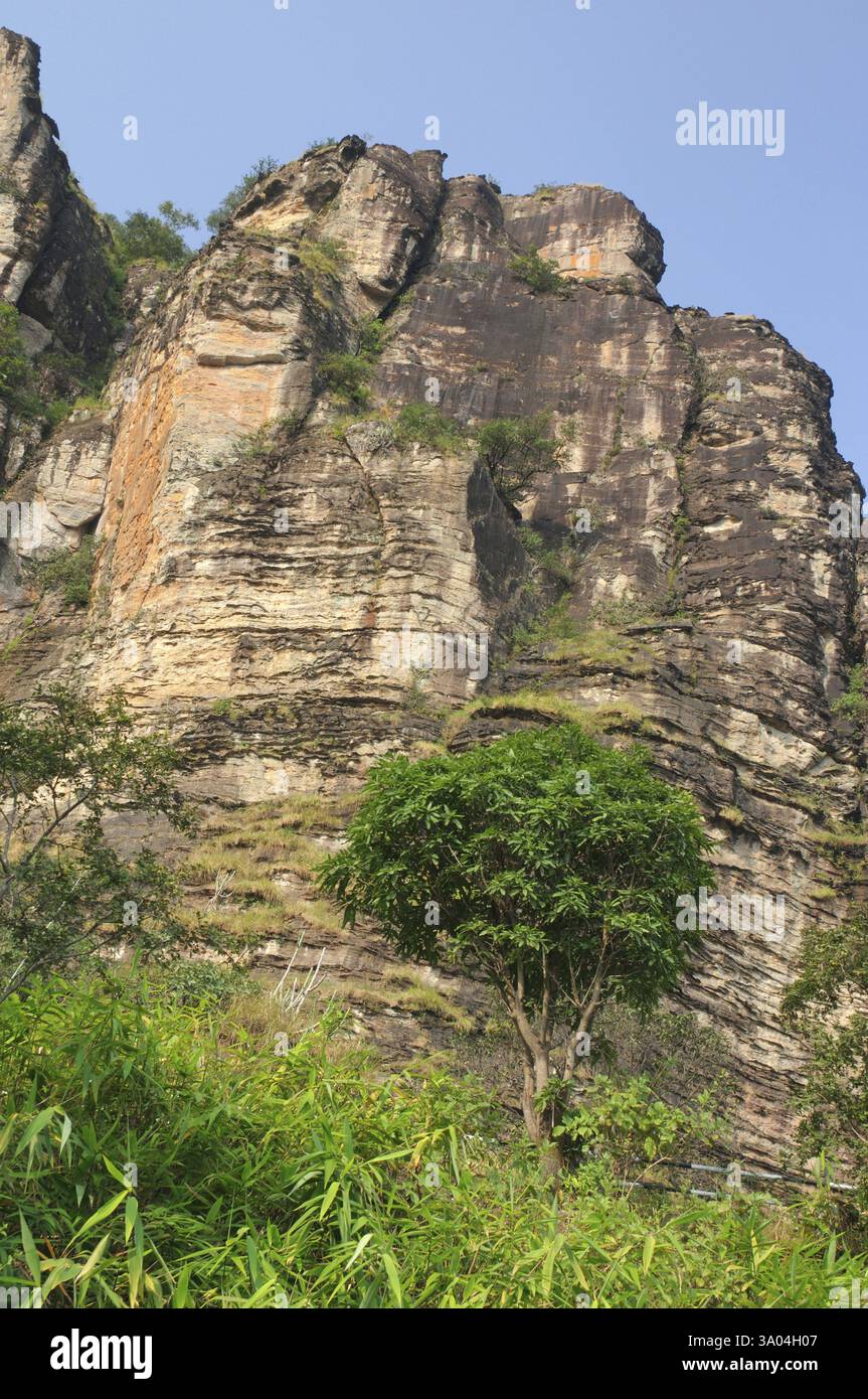 Saint, lourdes, church, replica, lourdes, Tiruchirappalli ...
