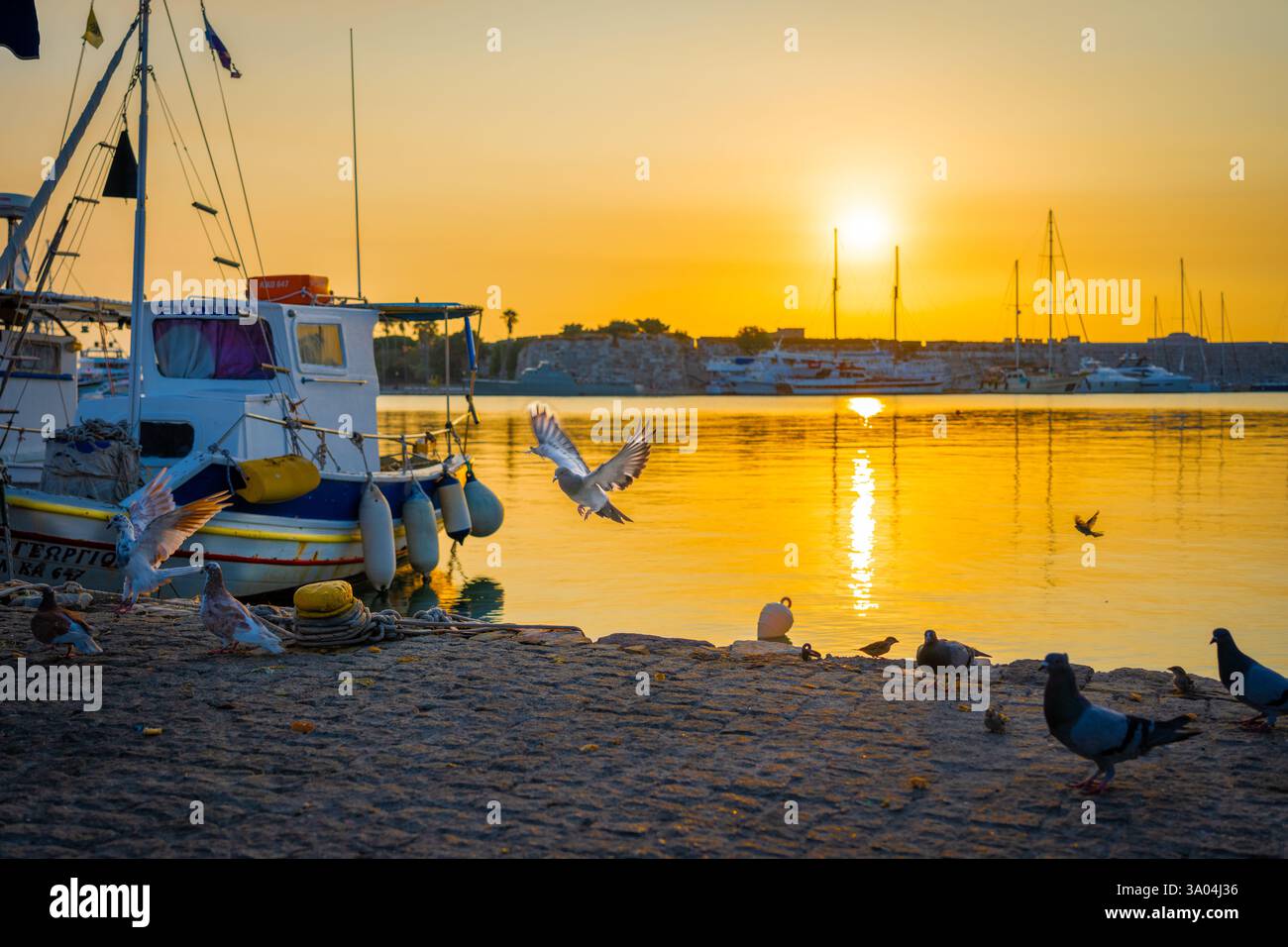 Top 5 Things to Do on Kiawah Island, SC | The 100 Collection™, image size:1300x956