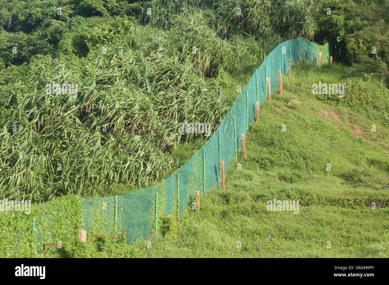 Mesh divider hi-res stock photography and images - Alamy