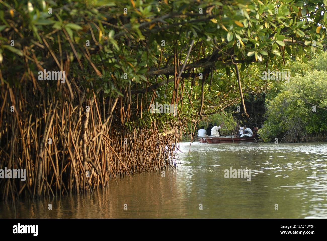 People travelling through boats hi-res stock photography and images - Alamy