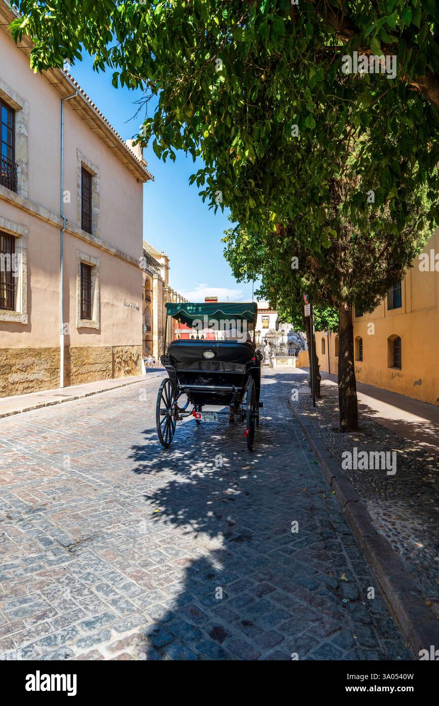 Drawn beneath them hi-res stock photography and images - Alamy