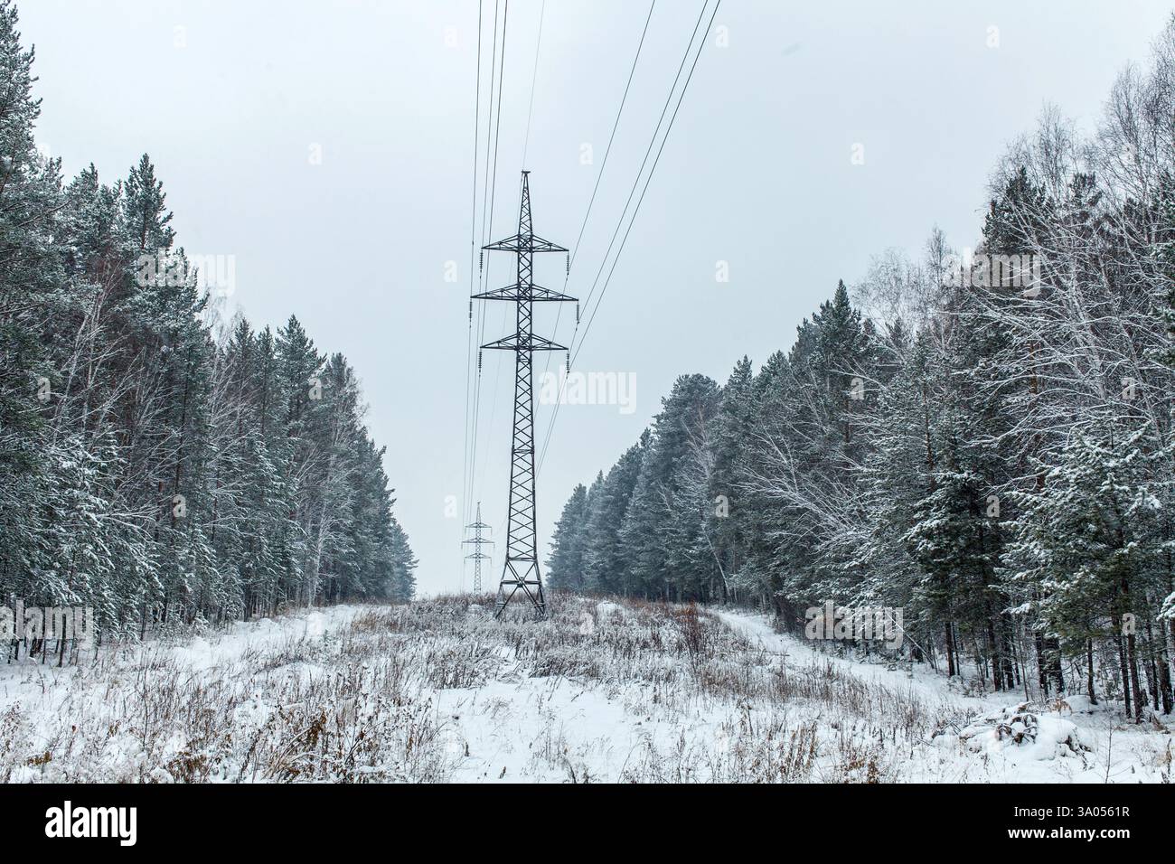 a high voltage power line in winter in the woods in snowfall Stock ...