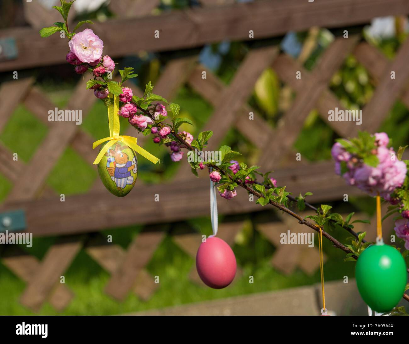 Easter tree decorated with colorful Easter eggs in the garden Stock Photo