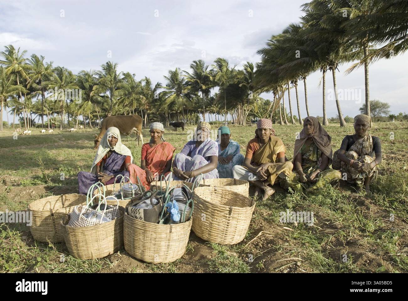 Agriculture labourer, Tamil Nadu, India NO MR Stock Photo - Alamy