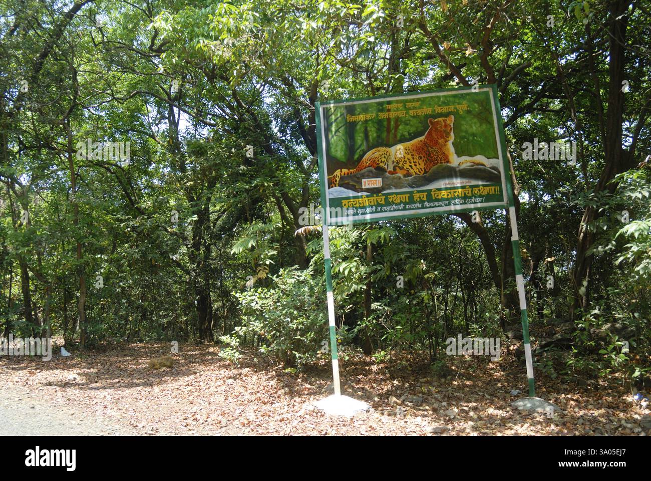 Maharashtra Eco Tourism National Park Wildlife Sanctuaries: Discover Nature's Wonders Maharashtra Eco Tourism National Park Wildlife Sanctuaries: Discover Nature's Wonders