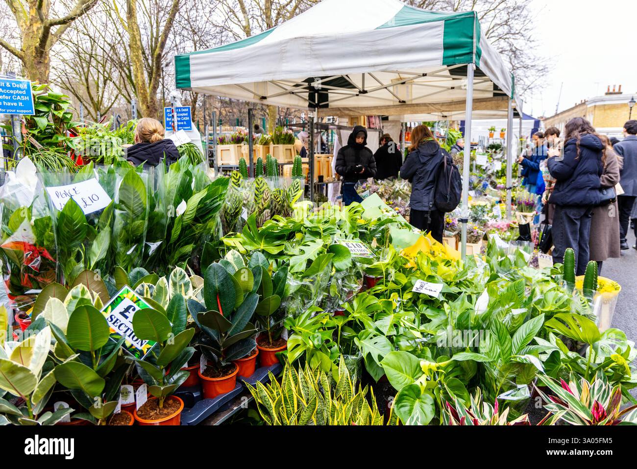 Plant stall at Columbia Road Flower Market, London, England Stock Photo