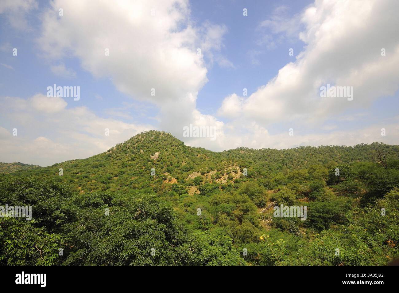 Marwar Tree Greenery on mountain under beautiful clouds, Marwar, Rajasthan, India ...