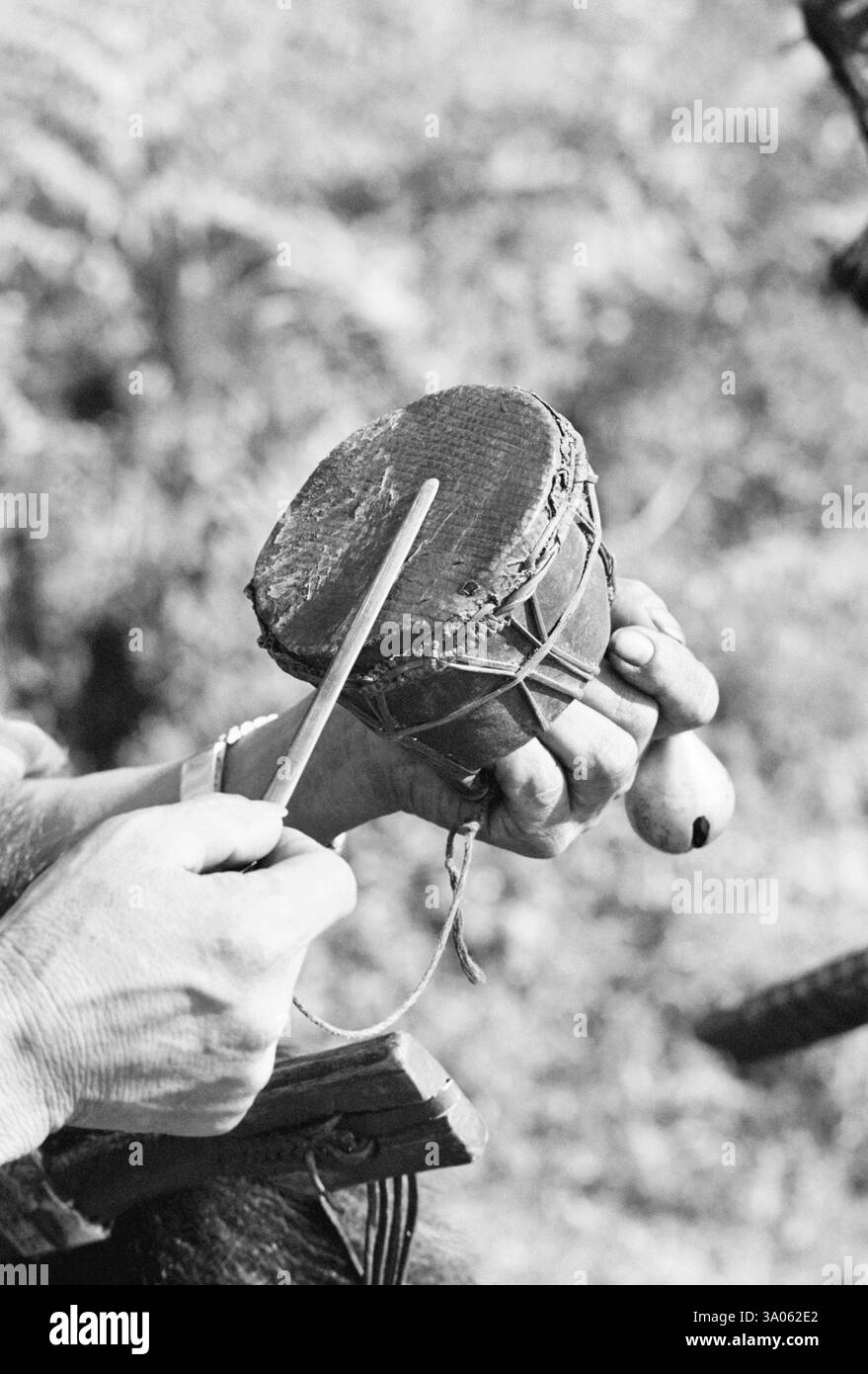 Musical instruments made by them used while dancing or other ...