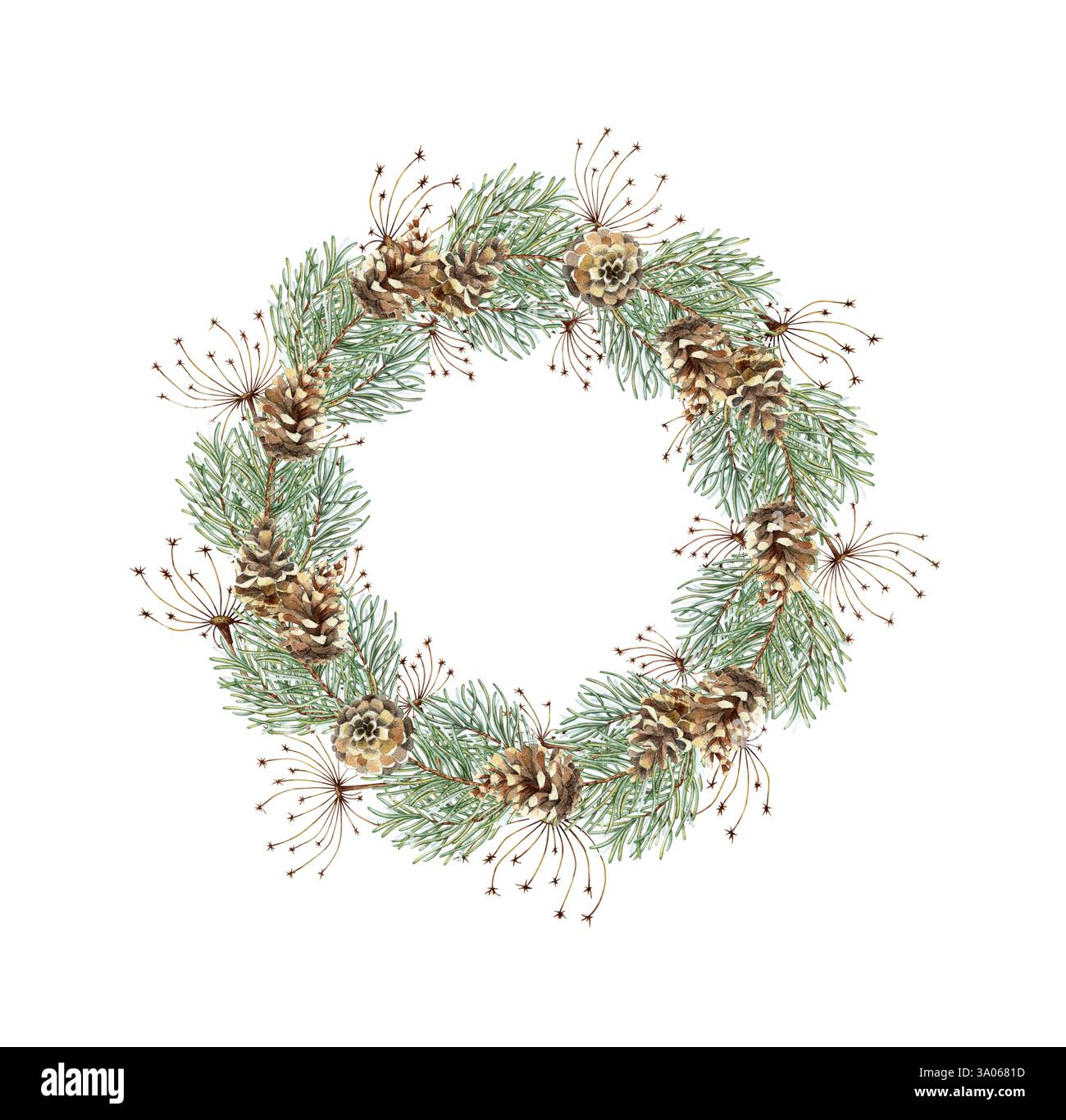 Fir branches, pine cones and grass Christmas and New Year wreath ...