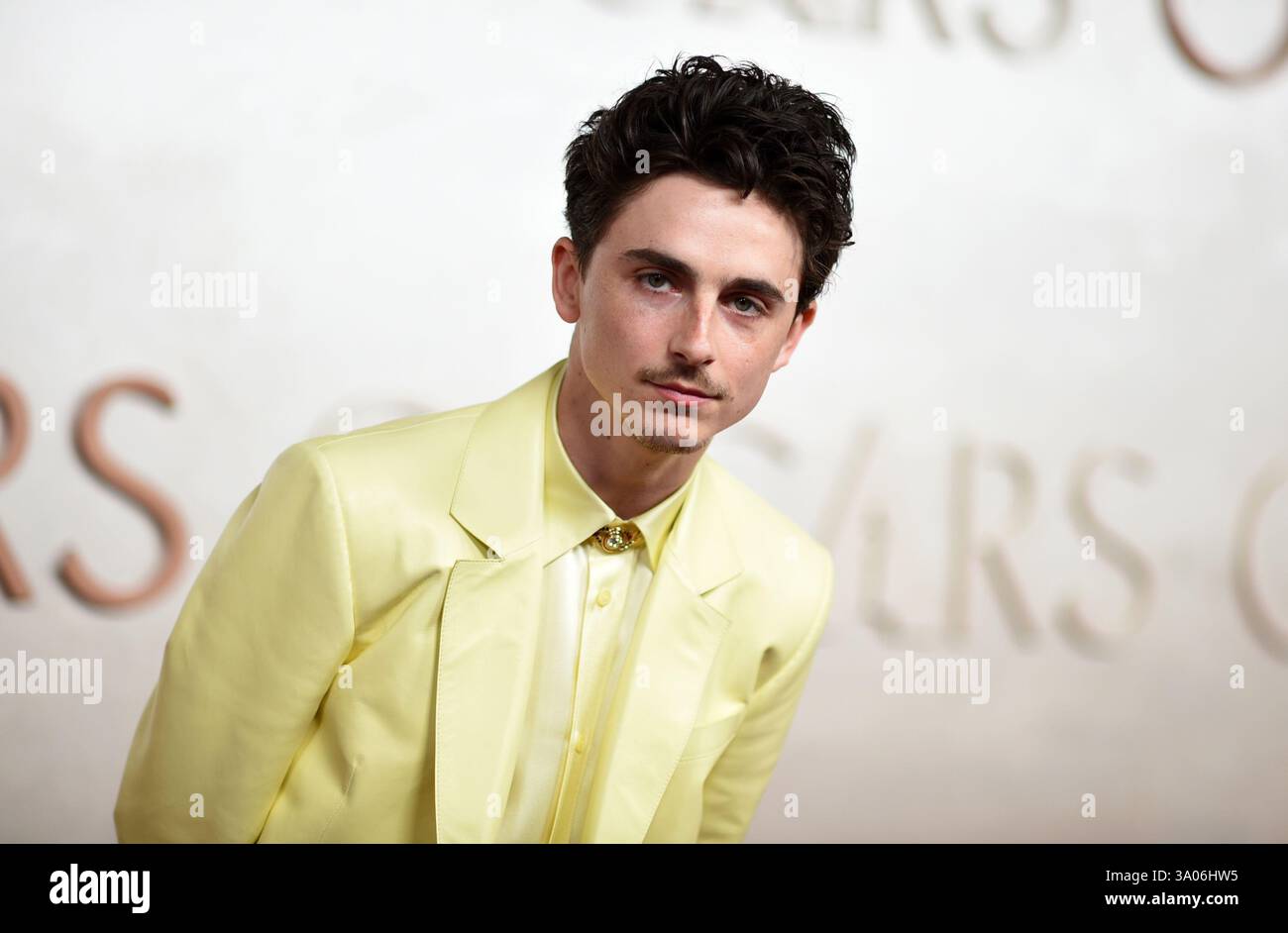 Timothee Chalamet arrives at the Oscars on Sunday, March 2, 2025, at ...