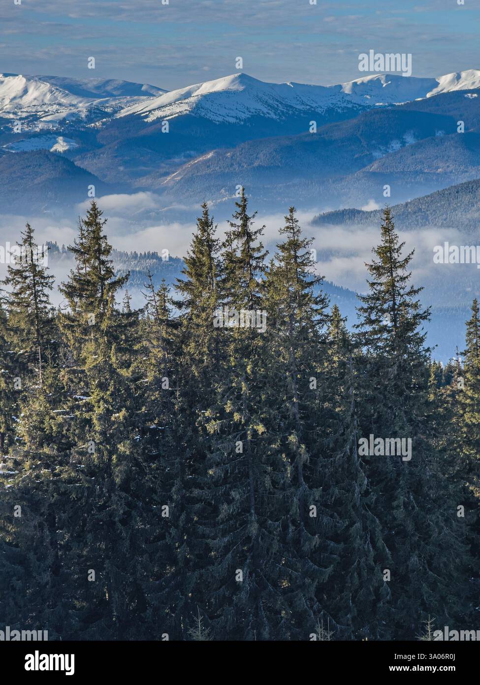 In Polyanytsia Ukraine on January 18, 2025, winter landscapes showcase ...