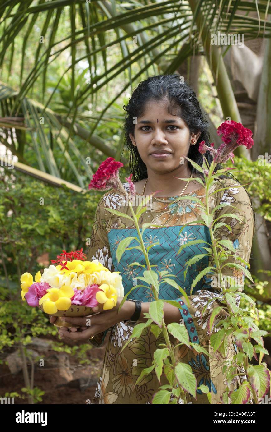 Flowers of tamil nadu hi-res stock photography and images - Alamy
