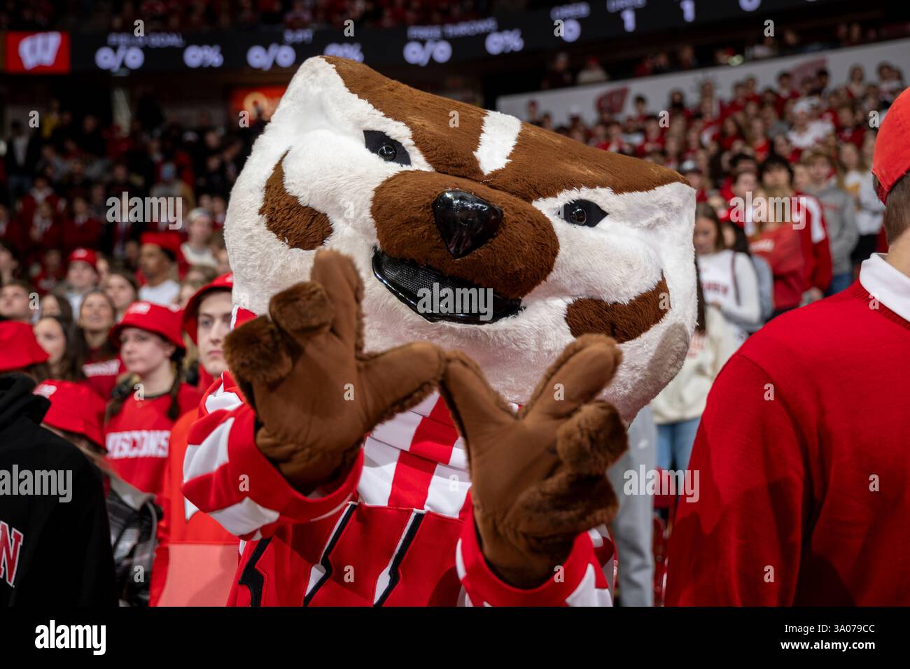 Wisconsin Badgers mascot Bucky Badger during an NCAA college men's ...