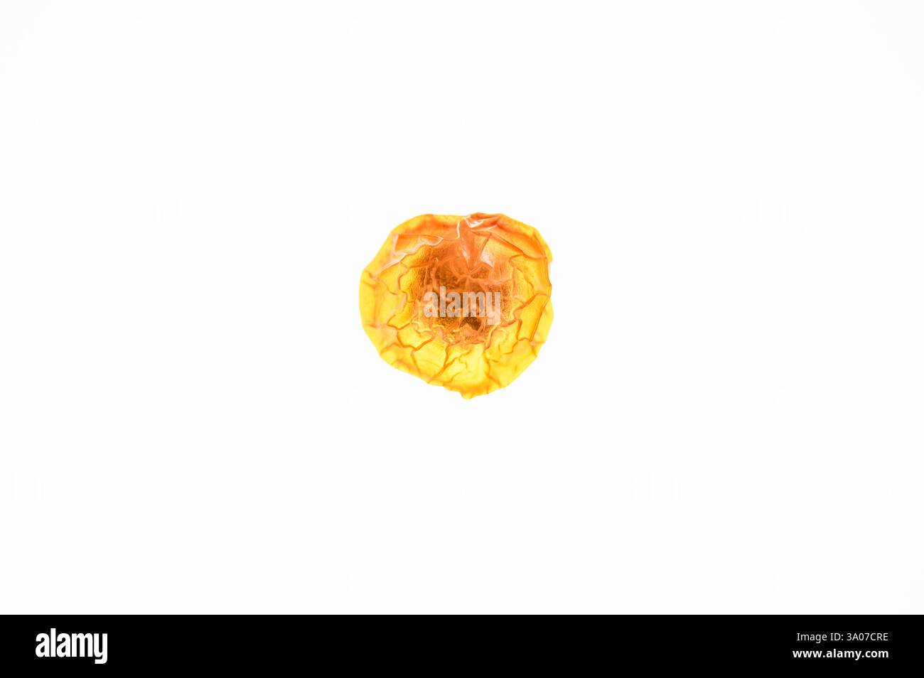 Back of a dried cherry tomato, backlit on white background Stock Photo