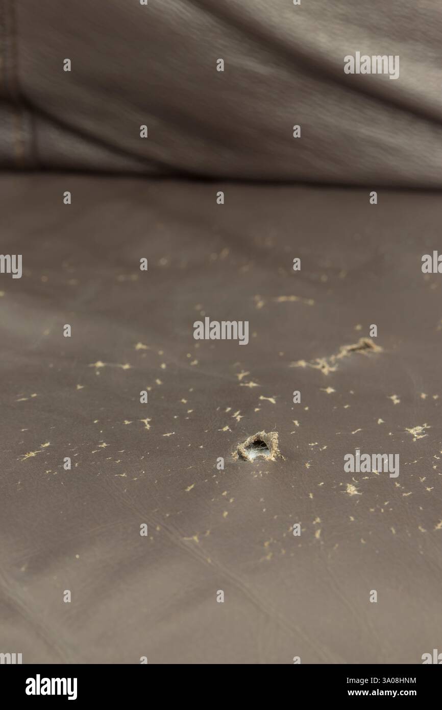 Worn ripped torn brown leather sofa couch textured cover background backdrop. Stock Photo