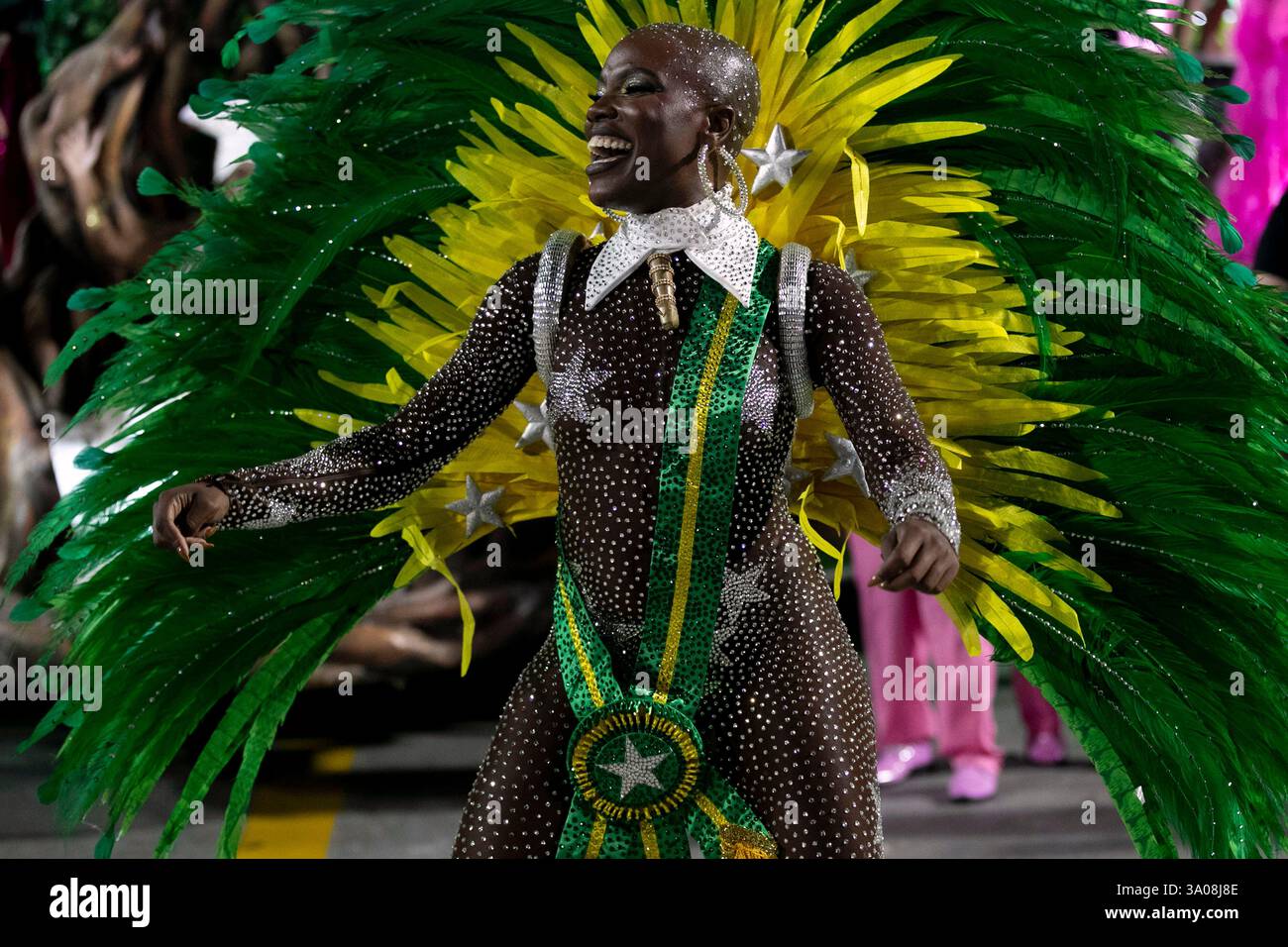 A performer from the Mangueira samba school dances during Carnival ...