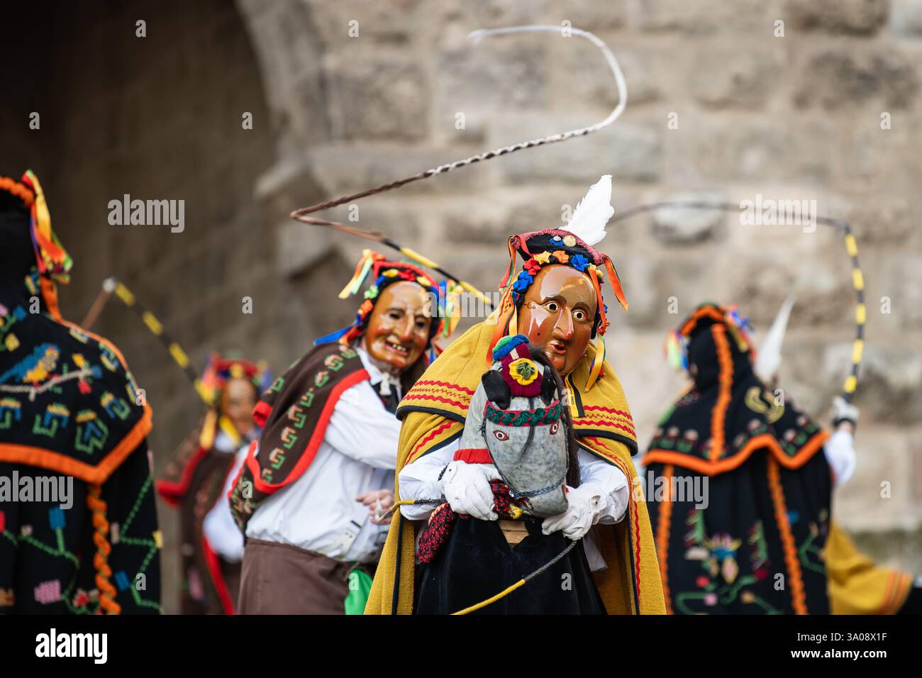 Rottweil, Germany. 03rd Mar, 2025. A Bennerrössle with drivers ...