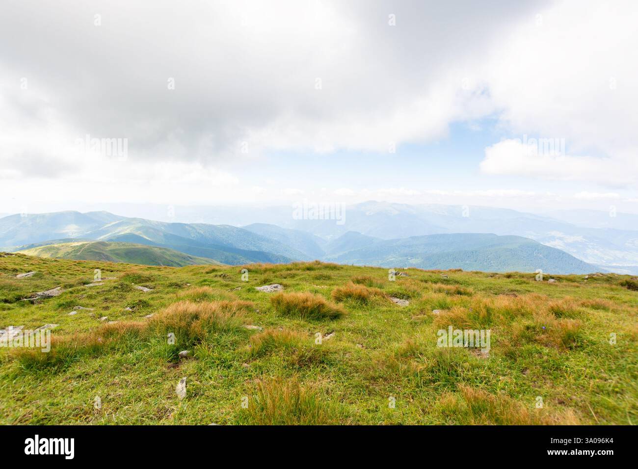 nature landscape with alpine grassy meadow of mnt. petros in dappled light. carpathian mountain scenery of ukraine in summer. popular travel destinati Stock Photo