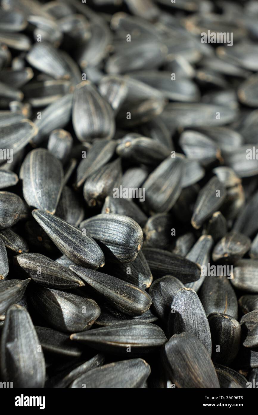 Macro Black Unpeeled Sunflower Seeds Stock Photo - Alamy