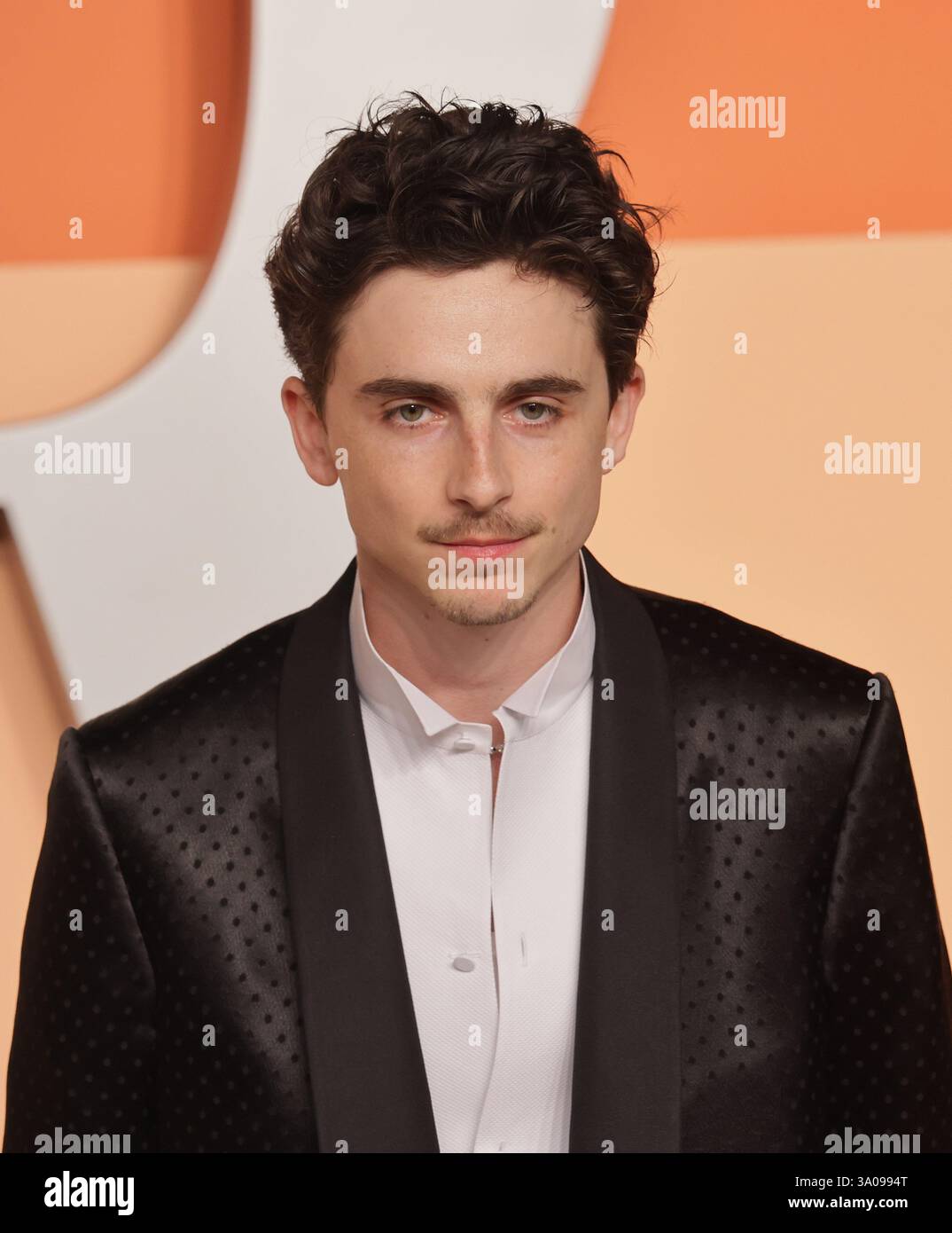 Timothee Chalamet attends the 2025 Vanity Fair Oscar Party at Wallis ...
