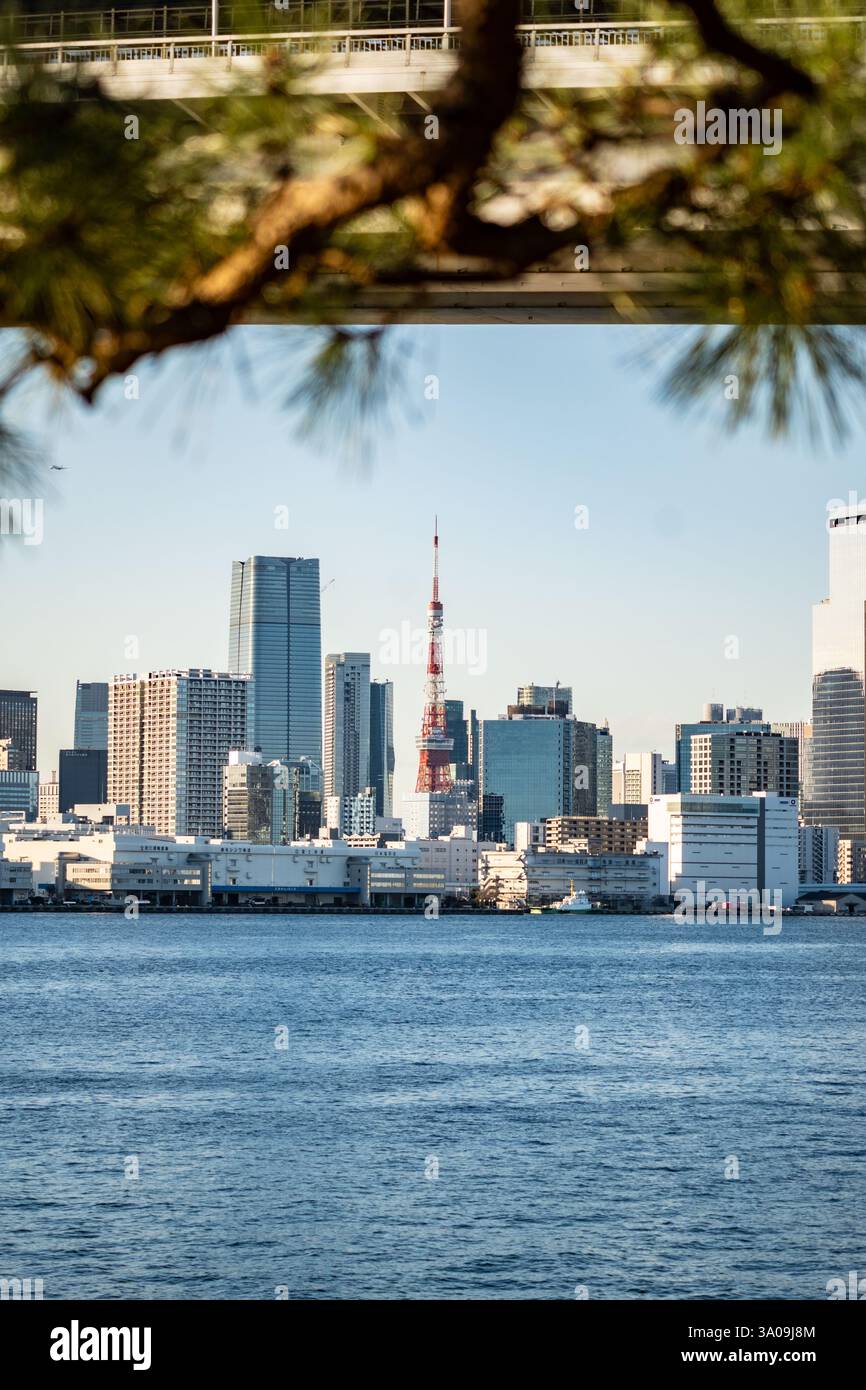 Tokyo skyline vertical hi-res stock photography and images - Alamy