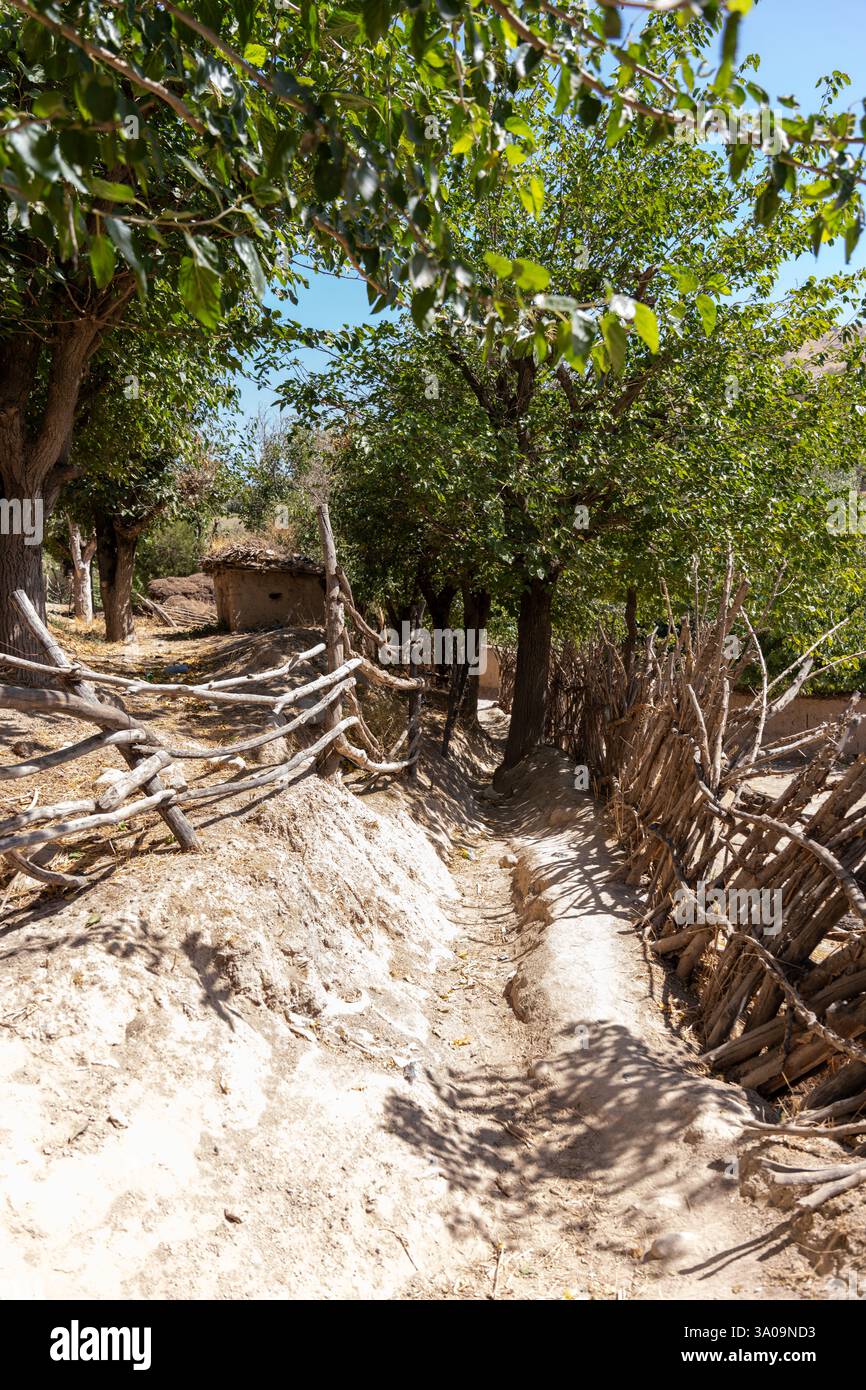 Path with trees on either side hi-res stock photography and images - Alamy