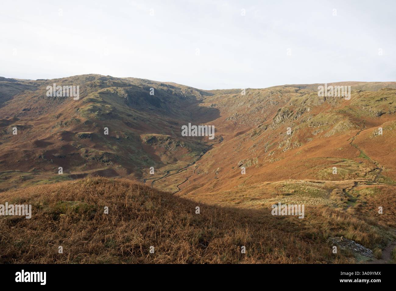 Grasmere Common and High Raise Grasmere The Lake District England Stock Photo