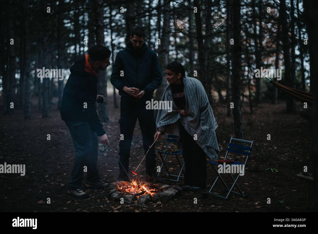 Group of friends roasting marshmallows over a campfire in a forest ...