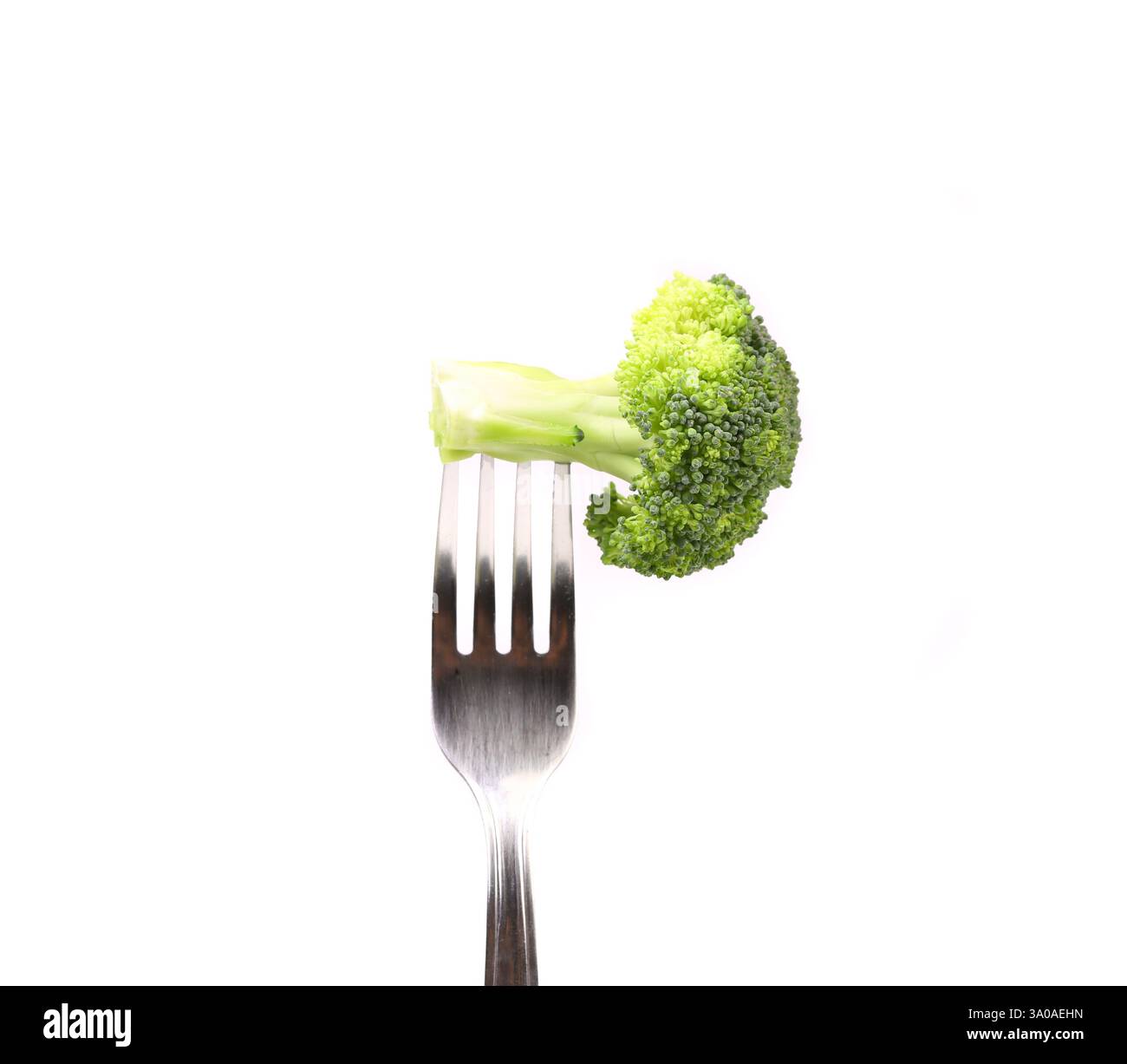 Broccoli impaled on a fork. White background. Stock Photo