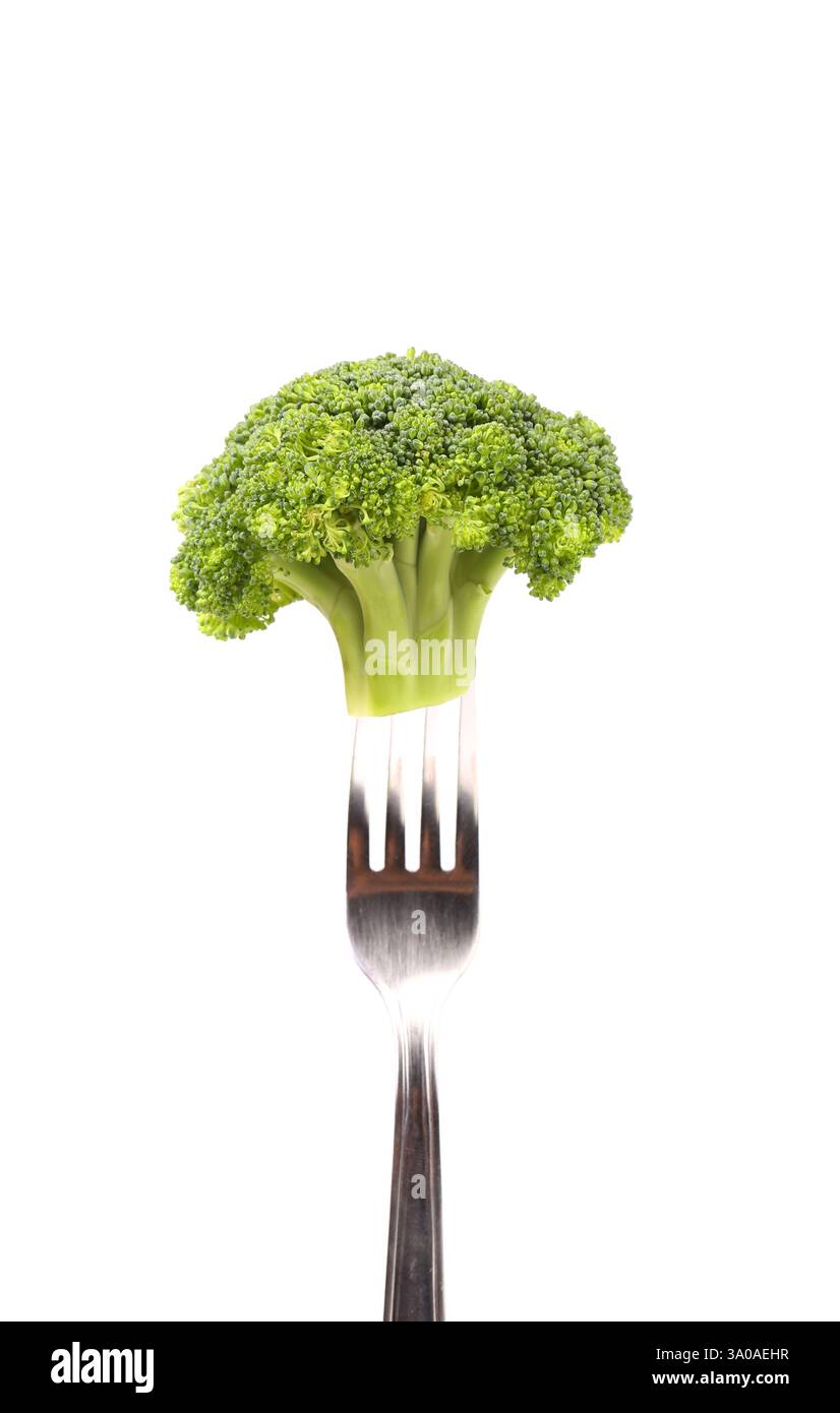 Broccoli impaled on a fork. White background. Stock Photo