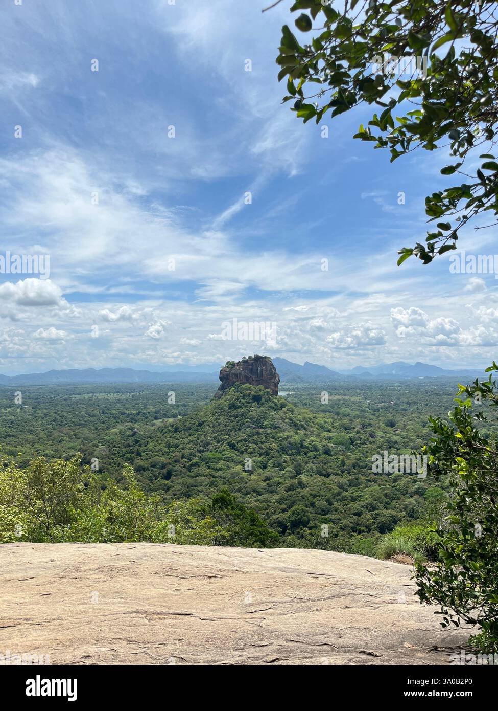 A stunning view of Sigiriya Rock Fortress, a UNESCO World Heritage Site in Sri Lanka, framed by lush green foliage. - Smartphone Captured Stock Image