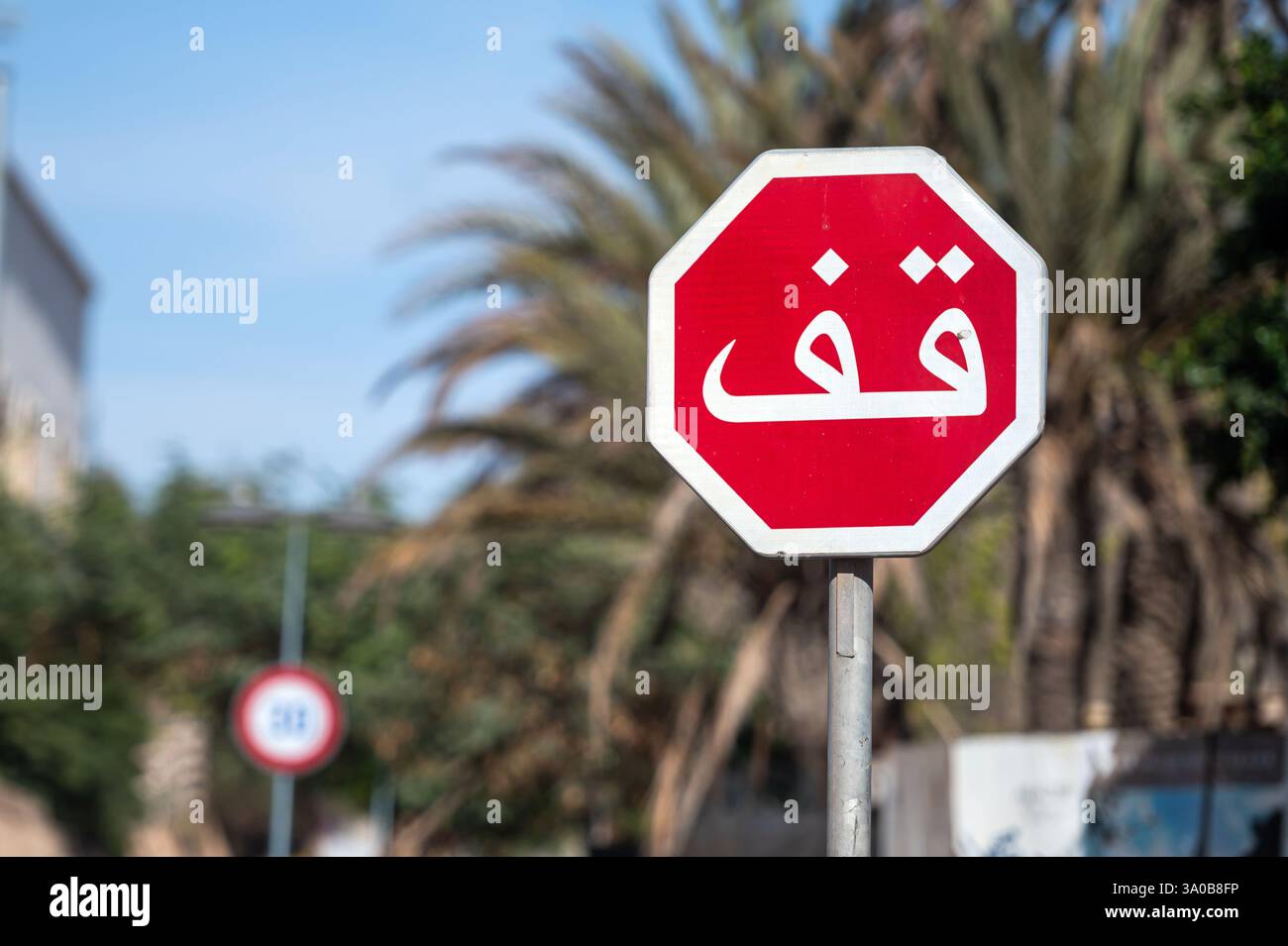 Red octagonal stop sign with Arabic text STOP against palm trees and ...