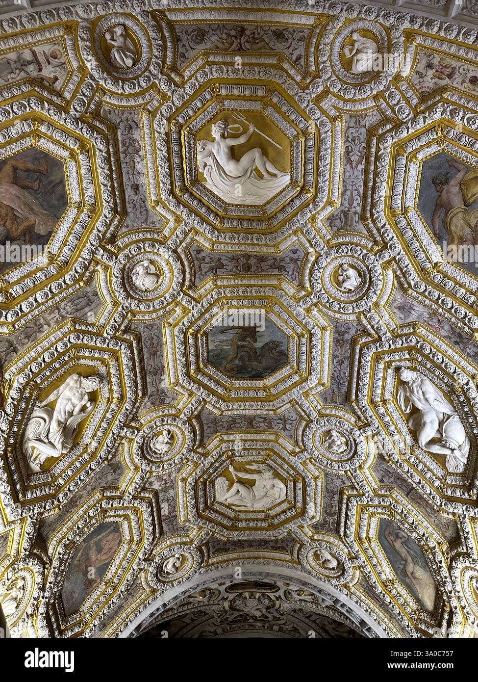 Gilded grandeur above! ✨?️ This breathtaking Renaissance ceiling is a masterpiece of art and architecture. #HistoricBeauty #GoldenElegance - Smartphone Captured Stock Image