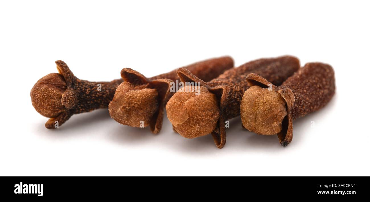 Cloves group isolated on white background Stock Photo
