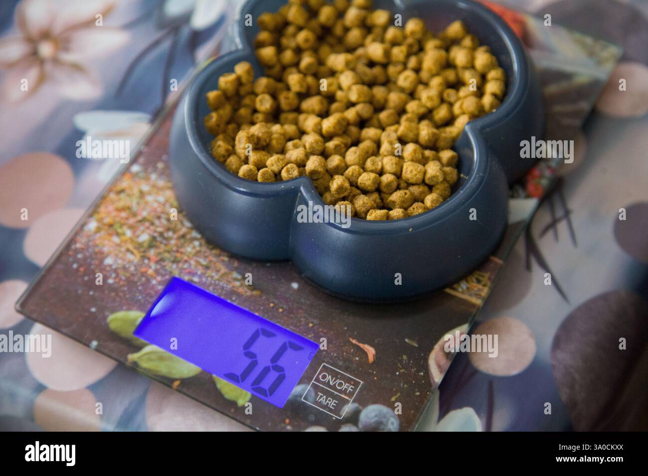 A pet food bowl with dry food on a digital scale, showing the exact ...